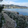 Always Take the Coastal Path