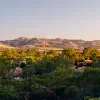 An End in the Barossa Valley, Australia