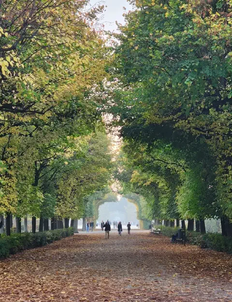 Autumn Hues from Australia to Austria