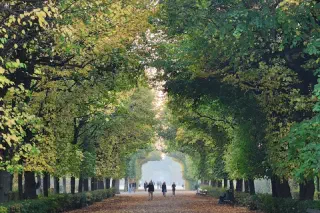 Autumn Hues from Australia to Austria