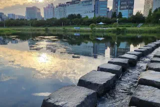 Echoes of Daejeon: Bonds of Work and Song