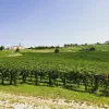 Finding Family in Italia