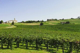 Finding Family in Italia