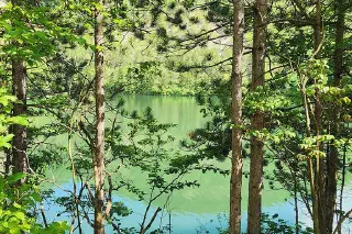 Hiking in Vienna and Lower Austria