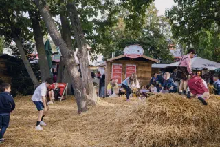 Kaiserwiesngeburstagsfest II