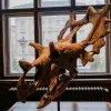Naturhistorisches Museum in Vienna, Austria