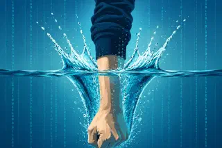 Achieving Resilience Through the Preservation of Functions