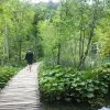 Road Trip through Croatia, Slovenia, and Bosnia-Herzegovina