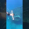 Swimming into the Depths of the Past