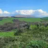 Wandering the Land in Tuscany, Italy