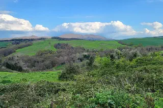 Wandering the Land in Tuscany, Italy