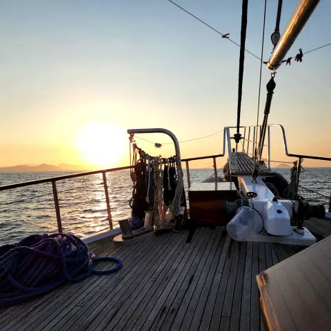 A Journey with the Sea