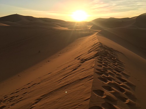 Adventures in Spain, Portugal, and Morocco