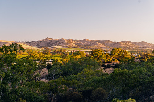 An End in the Barossa Valley, Australia