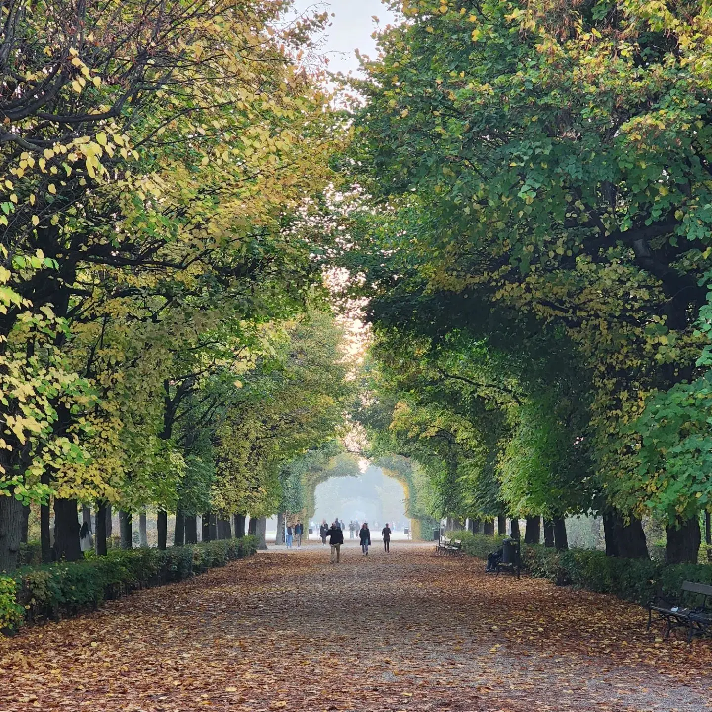 Autumn Hues from Australia to Austria