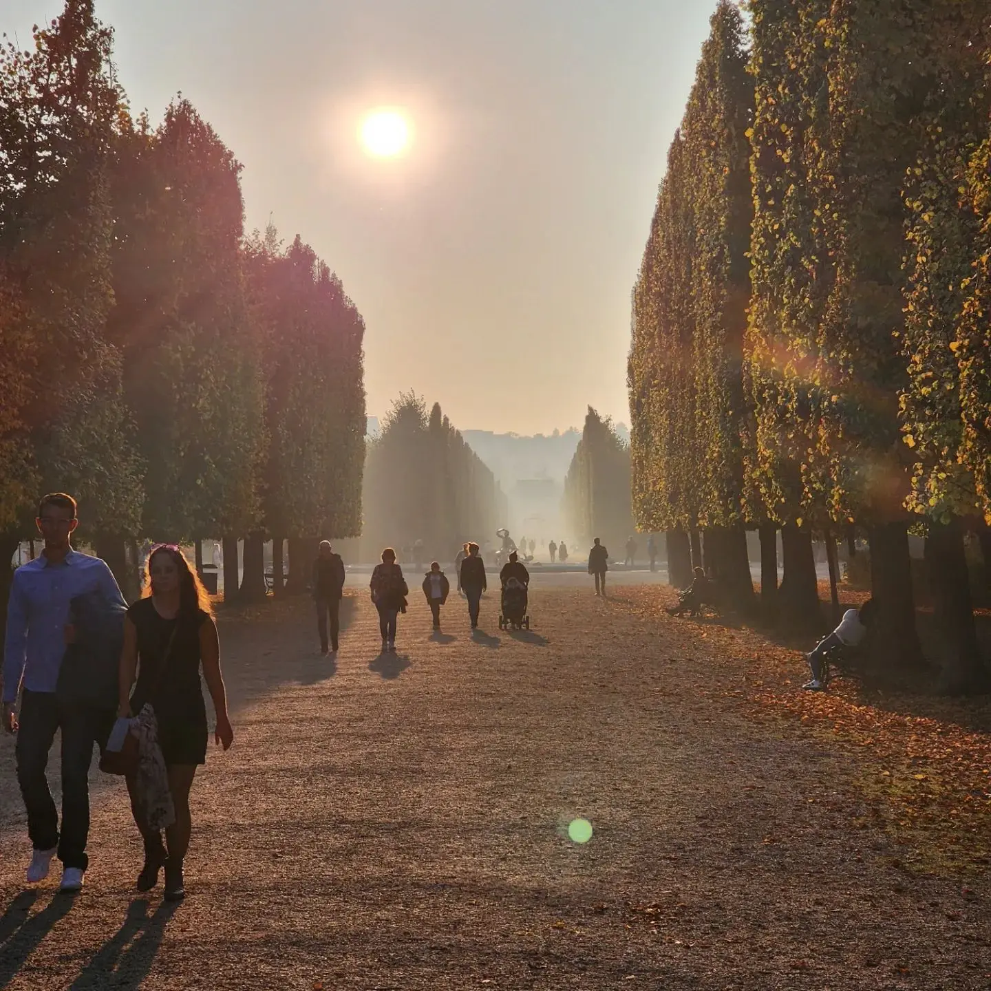 People walking along a tree-lined avenue through hazy autumn sunlight.