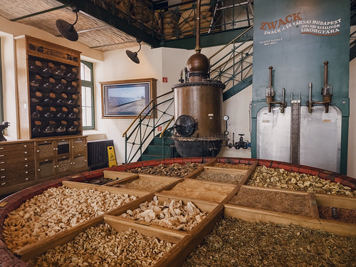 Bringing I&C Together in Budapest, Hungary