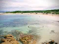 Covid Stuck in Sydney, Australia