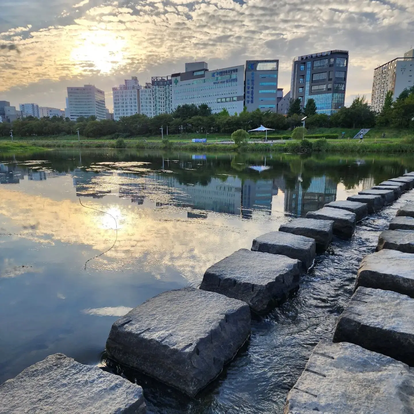 Echoes of Daejeon: Bonds of Work and Song