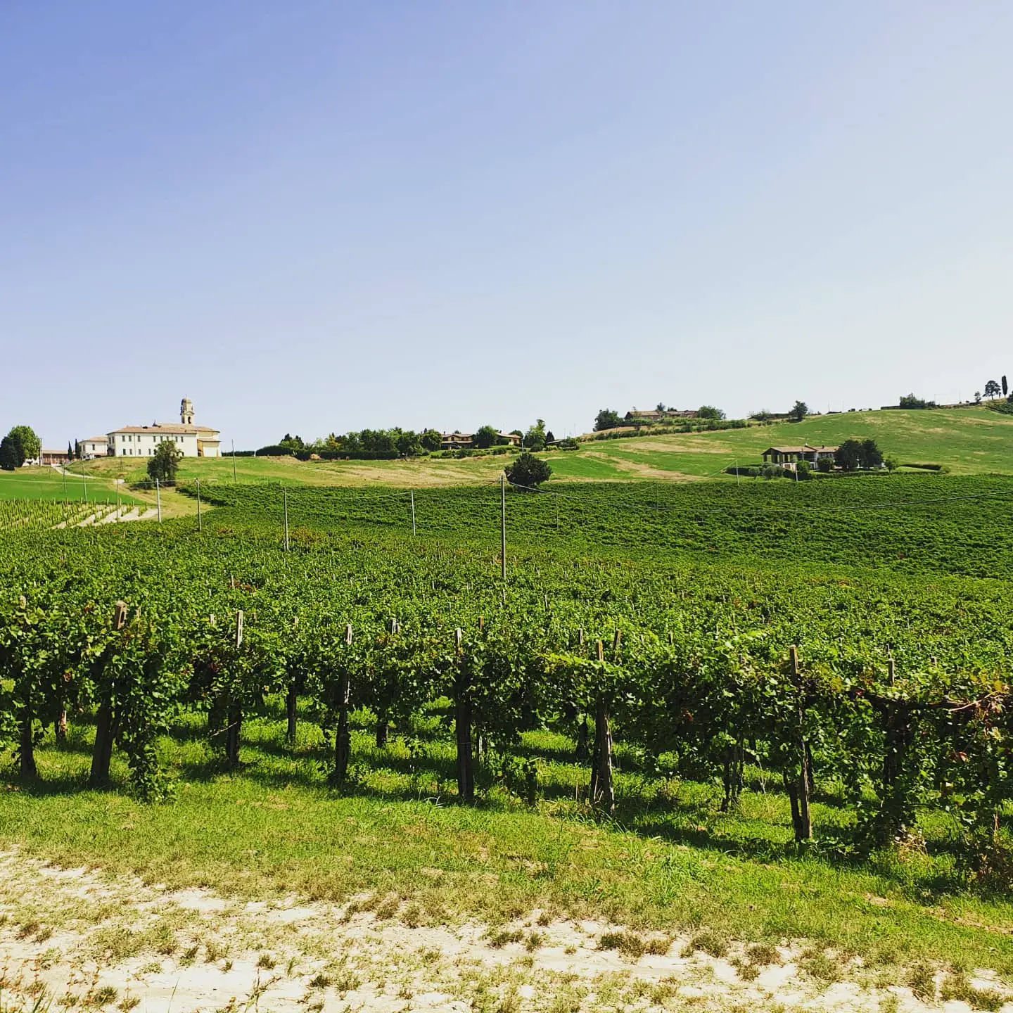 Finding Family in Italia