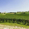 Finding Family in Italia