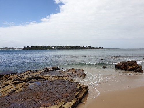 Homebound in Sydney, Australia