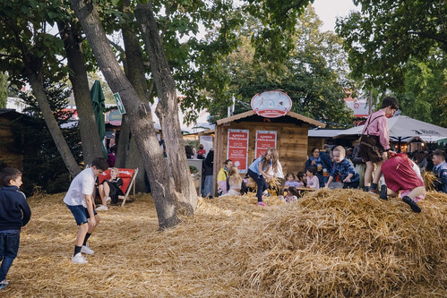 Kaiserwiesngeburstagsfest II