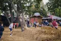 Kaiserwiesngeburstagsfest II