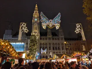 November Festivities, Vienna