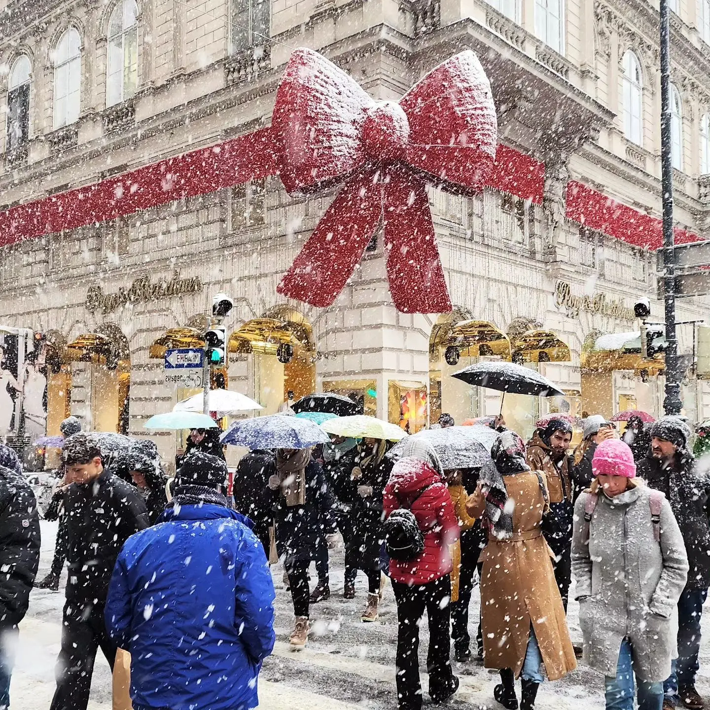A Reflection on Sydney Sands to Vienna Snows