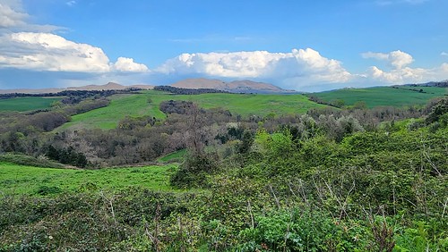 Wandering the Land in Tuscany, Italy