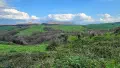 Wandering the Land in Tuscany, Italy