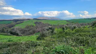 Wandering the Land in Tuscany, Italy